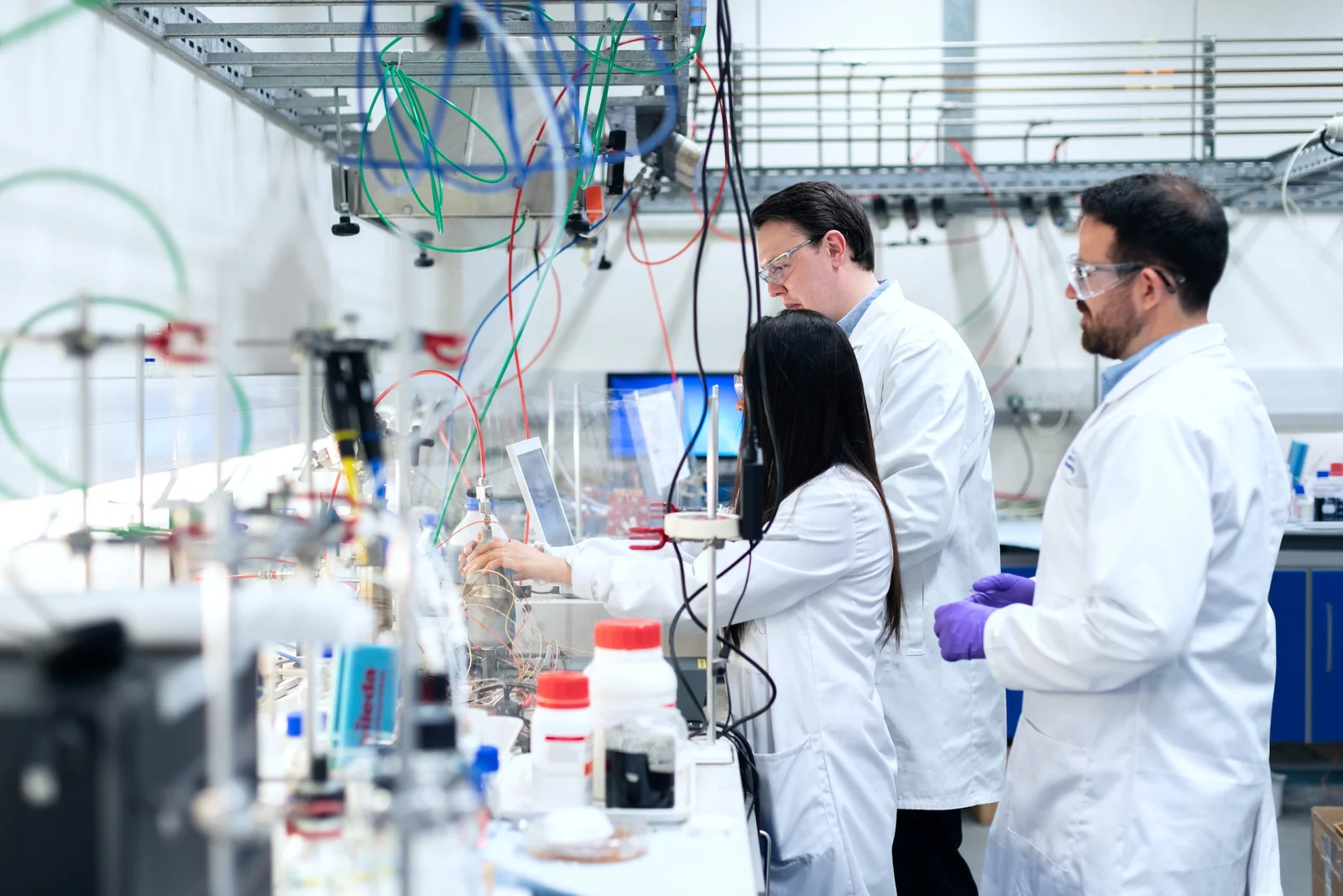 lab lab